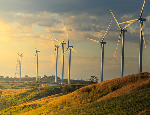 Technology Can Help Save Our Environment